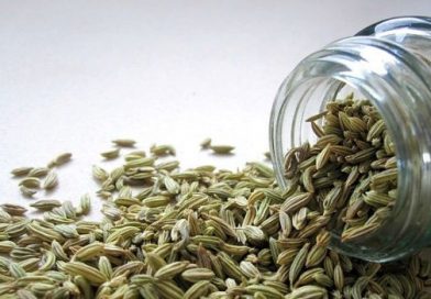Feeling Gassy? Fennel Essential Oil Gives Relief