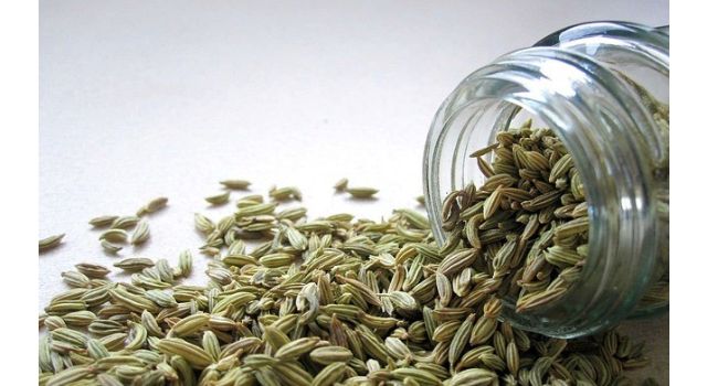 Feeling Gassy? Fennel Essential Oil Gives Relief